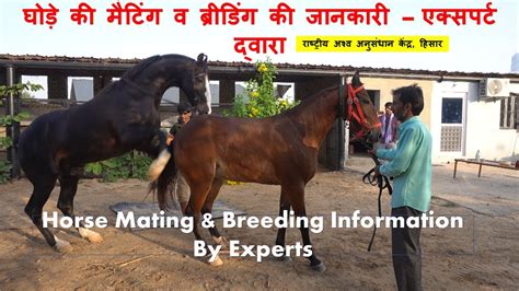 asstr breeding